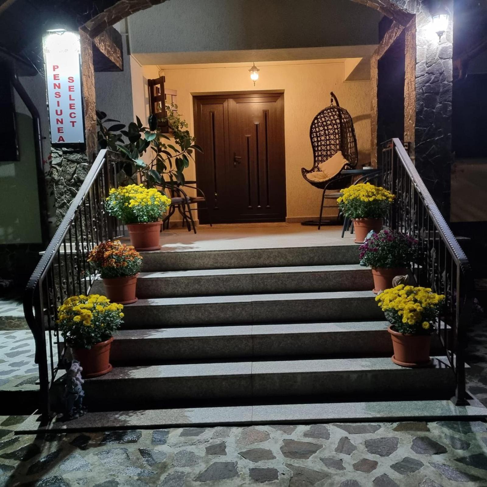 Pensiunea Select Curtea de Argeş Buitenkant foto